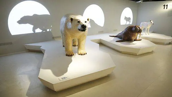 Арктические звери