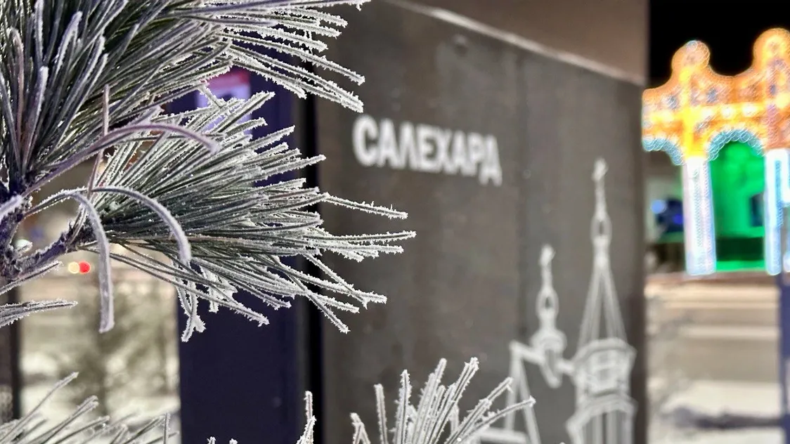 Узнали, преподнесет ли январь погодные сюрпризы. Фото: Андрей Ткачёв / "Ямал-Медиа"