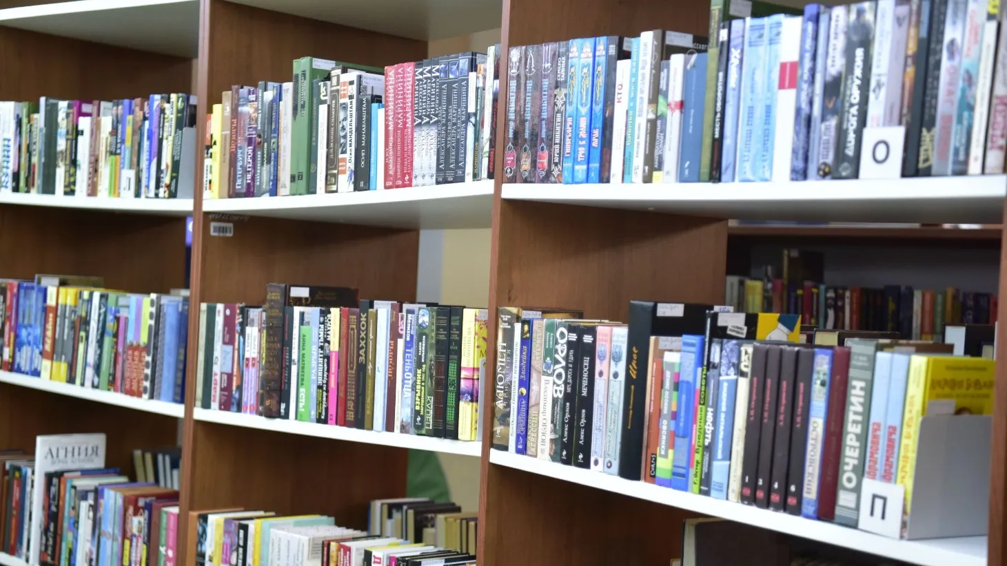 В библиотеке каждый найдет литературу на свой вкус. Фото: Василий Петров / «Ямал-Медиа»