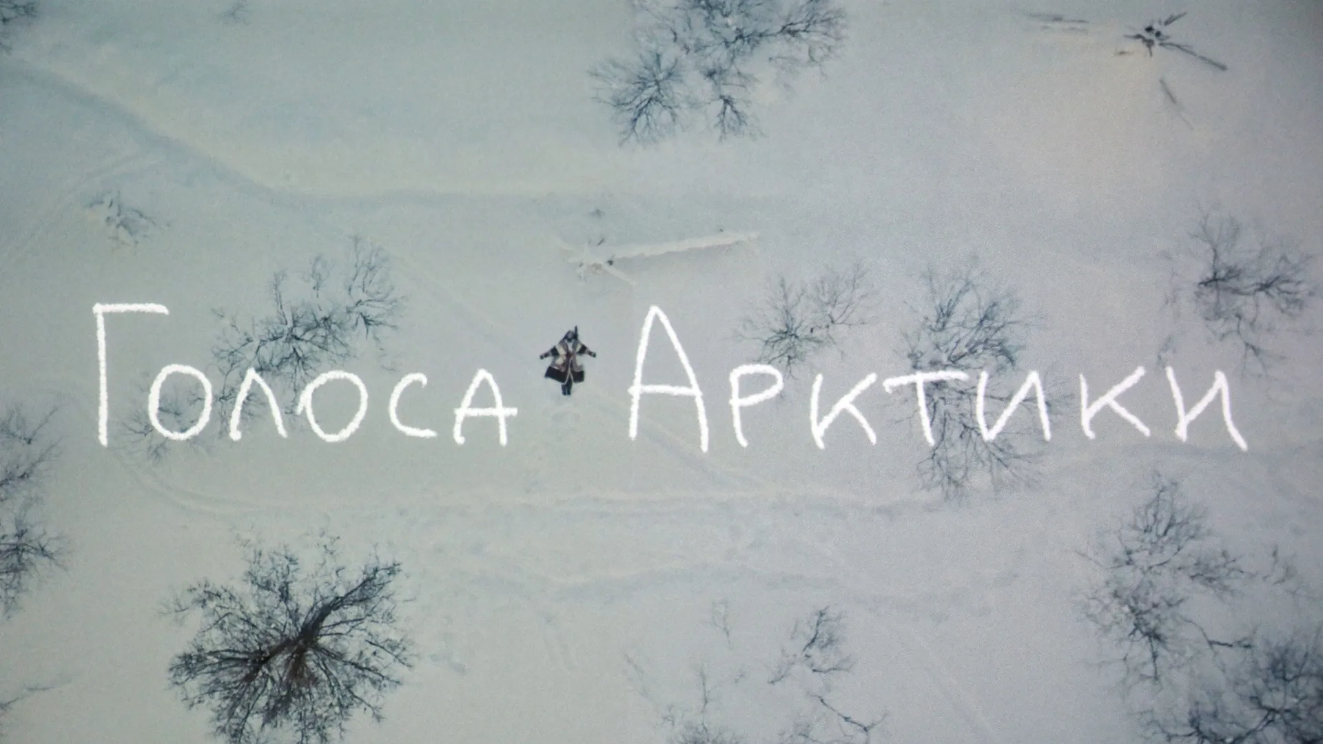 Документальный фильм снимали в трёх арктических регионах, в том числе и на Ямале. Фото: пресс-служба губернатора ЯНАО
