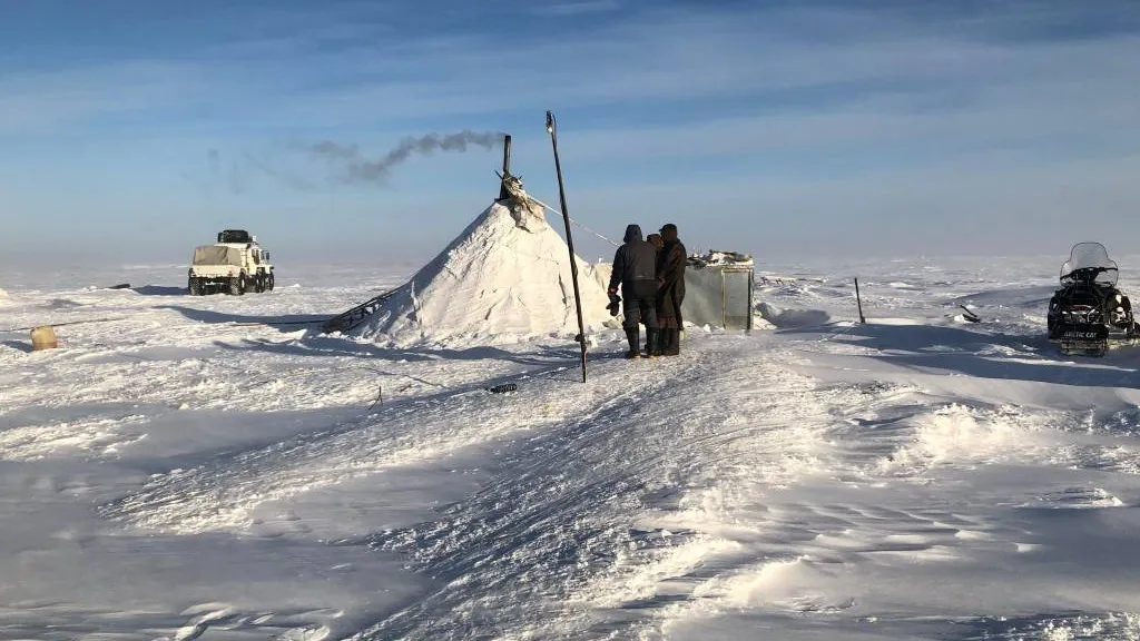 Фото: из архива Арктического научно-исследовательского стационара ИЭРиЖ УрО РАН