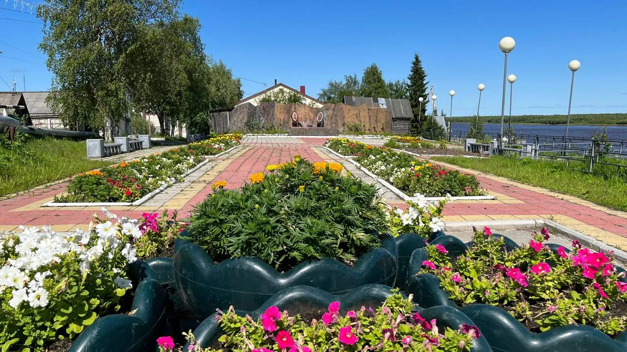 Цветы в Шурышкарском районе будут радовать жителей до самых заморозков. Фото: t.me/OlegNikolaevichPopov