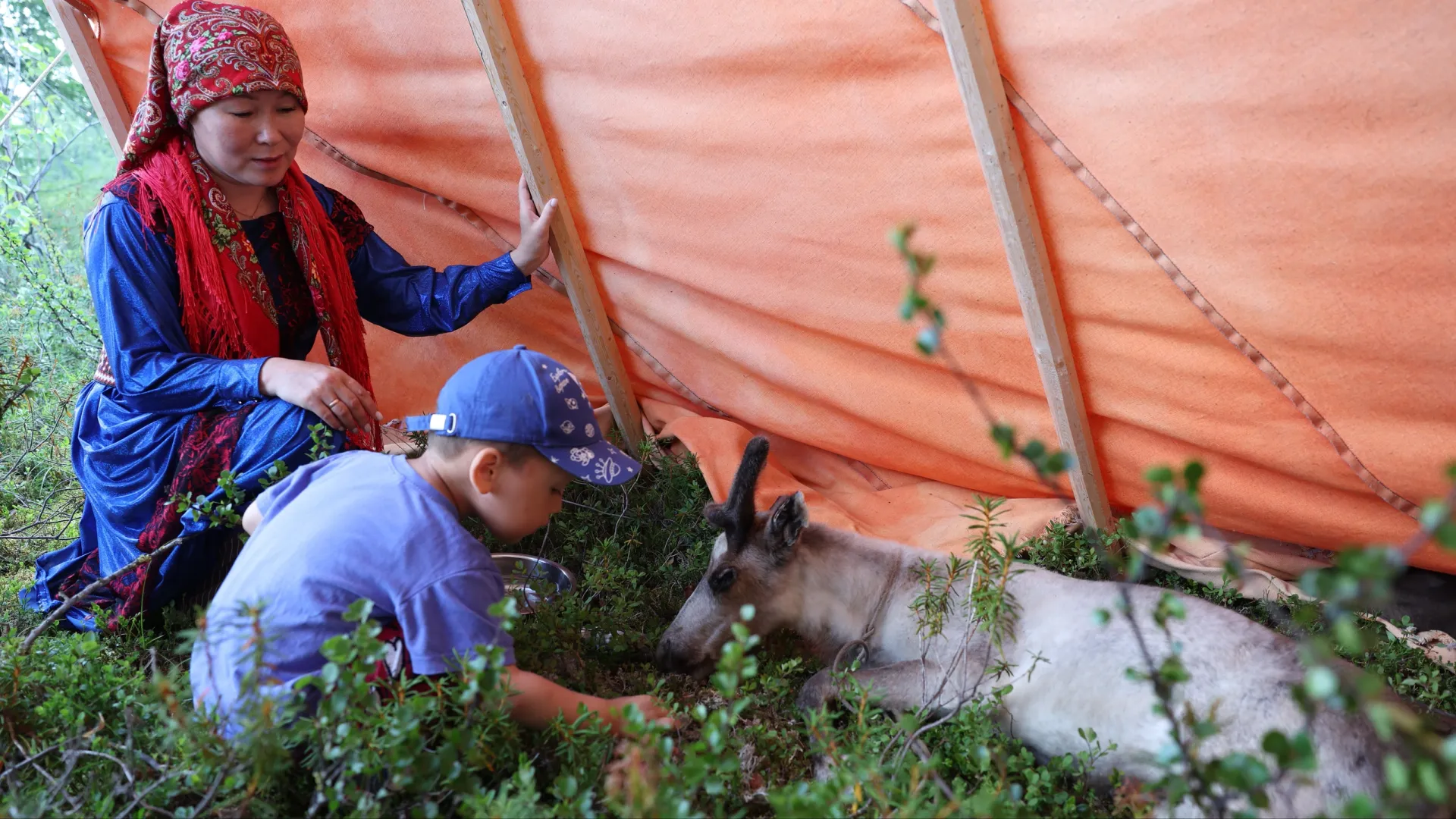 В тундре на женщинах держится вся работа по чуму. Фото: Андрей Ткачев / «Ямал-Медиа»