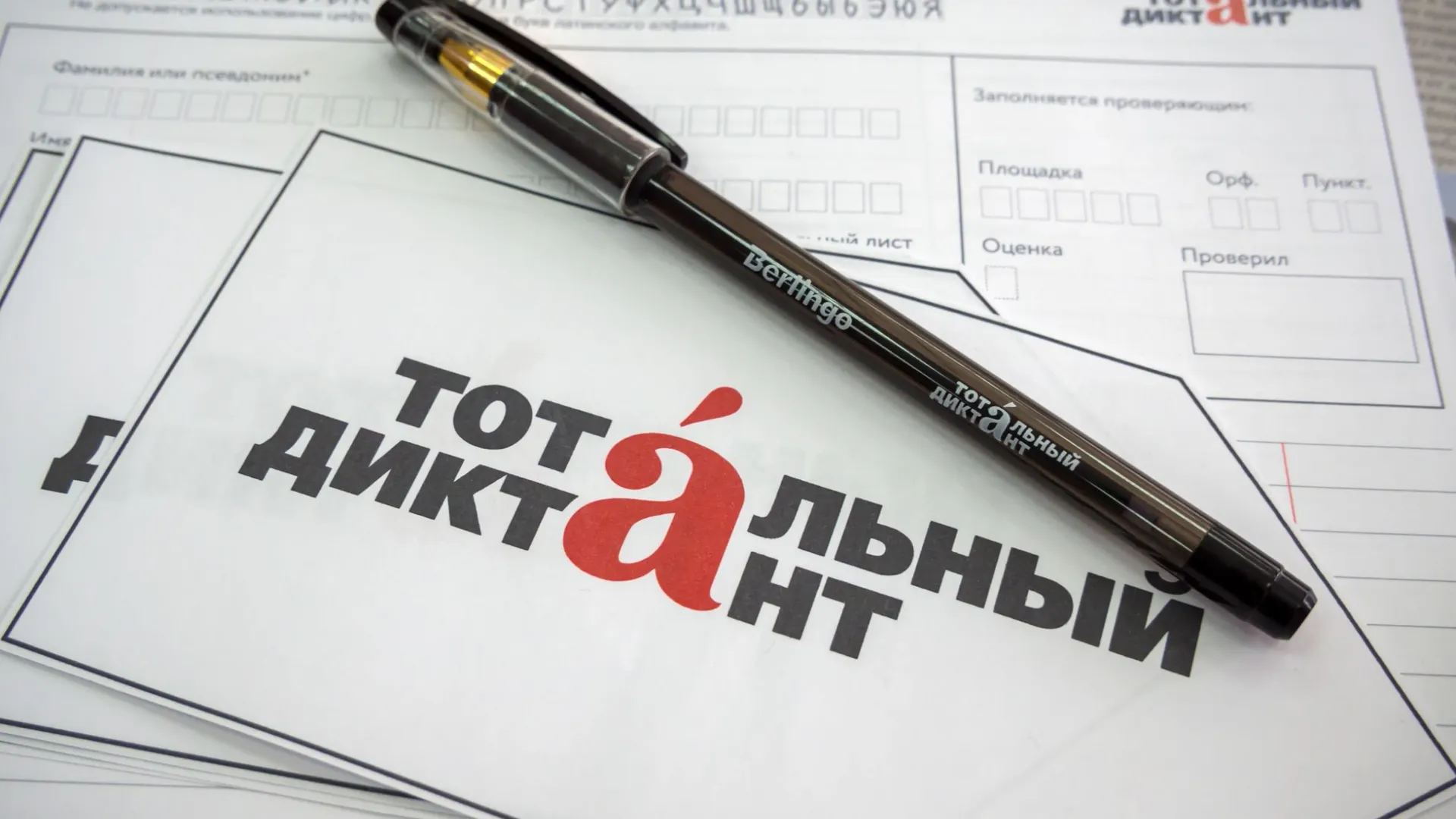 Открыта регистрация на участие в Тотальном диктанте-2025. Фото: VPales / Shutterstock / Fotodom
