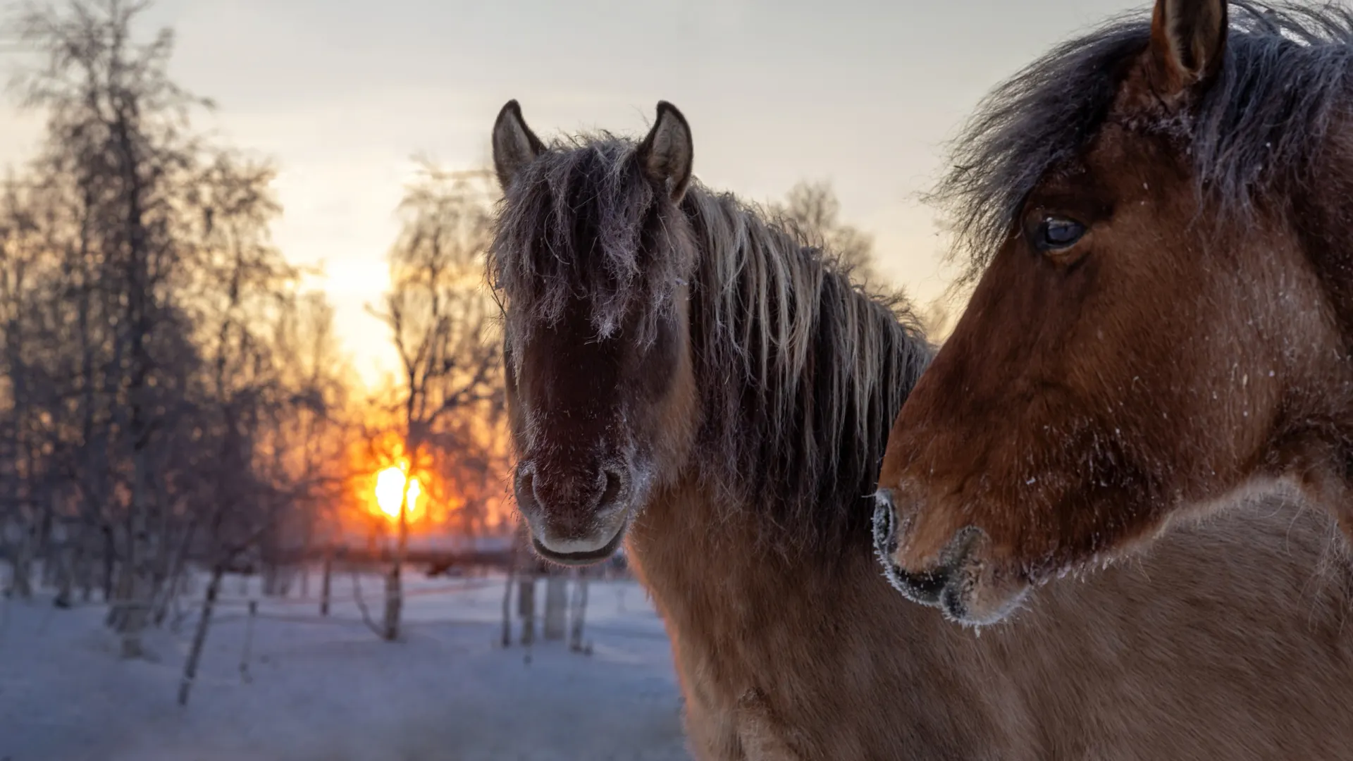 Фото: Фёдор Воронов / «Ямал-Медиа»