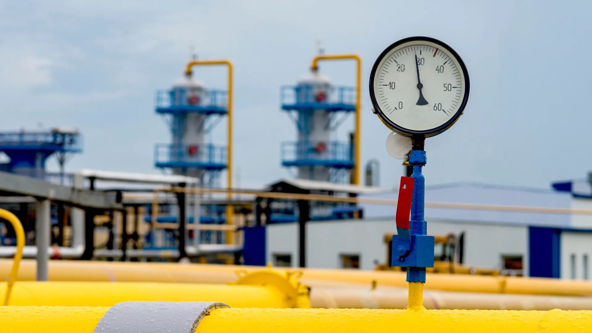 Фото: 63ru78/Shutterstock/Fotodom