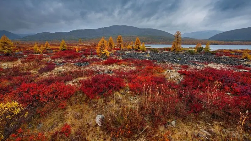 Данный войдут в единую карту вечной мерзлоты. Фото: kaikups / shutterstock.com / Fotodom