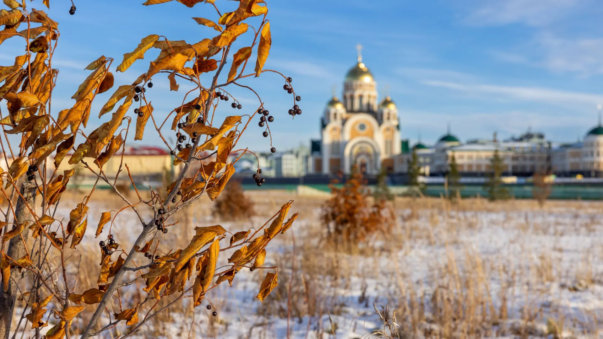 Фото: Фёдор Воронов / «Ямал-Медиа»