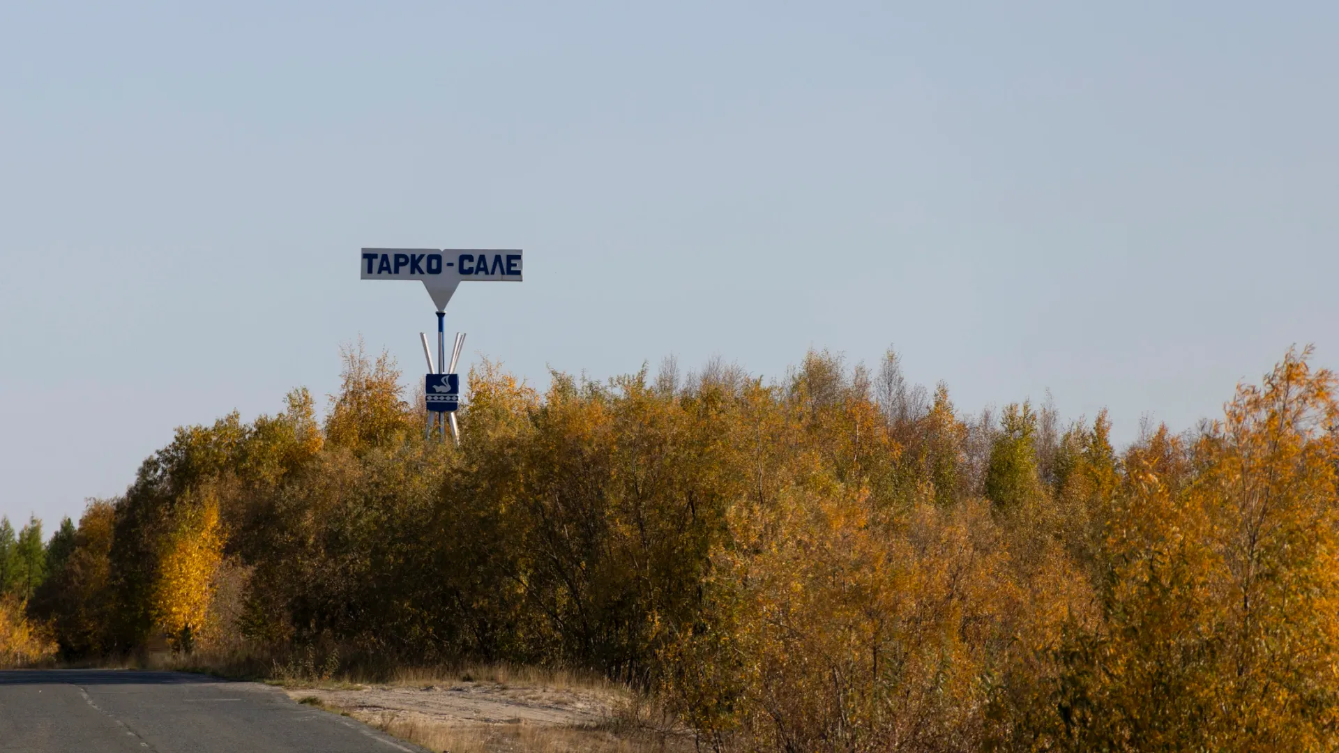 Фото: Андрей Понамарёв / «Ямал-Медиа»