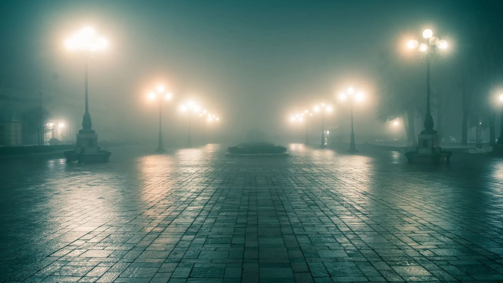 Фото: Yurii Romanchuk/Shutterstock/Fotodom