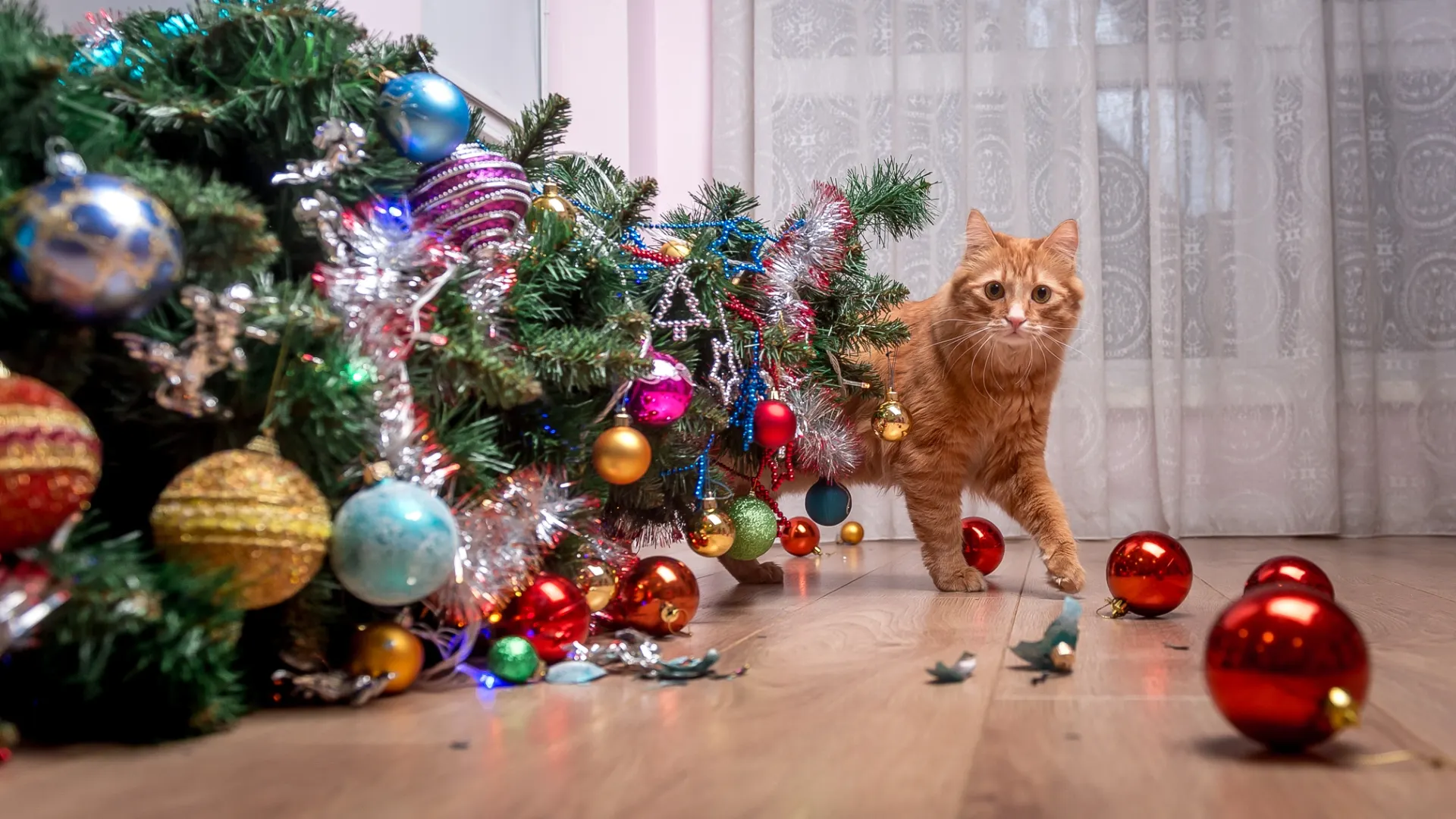 Фото: Sharomka/Shutterstock/Fotodom