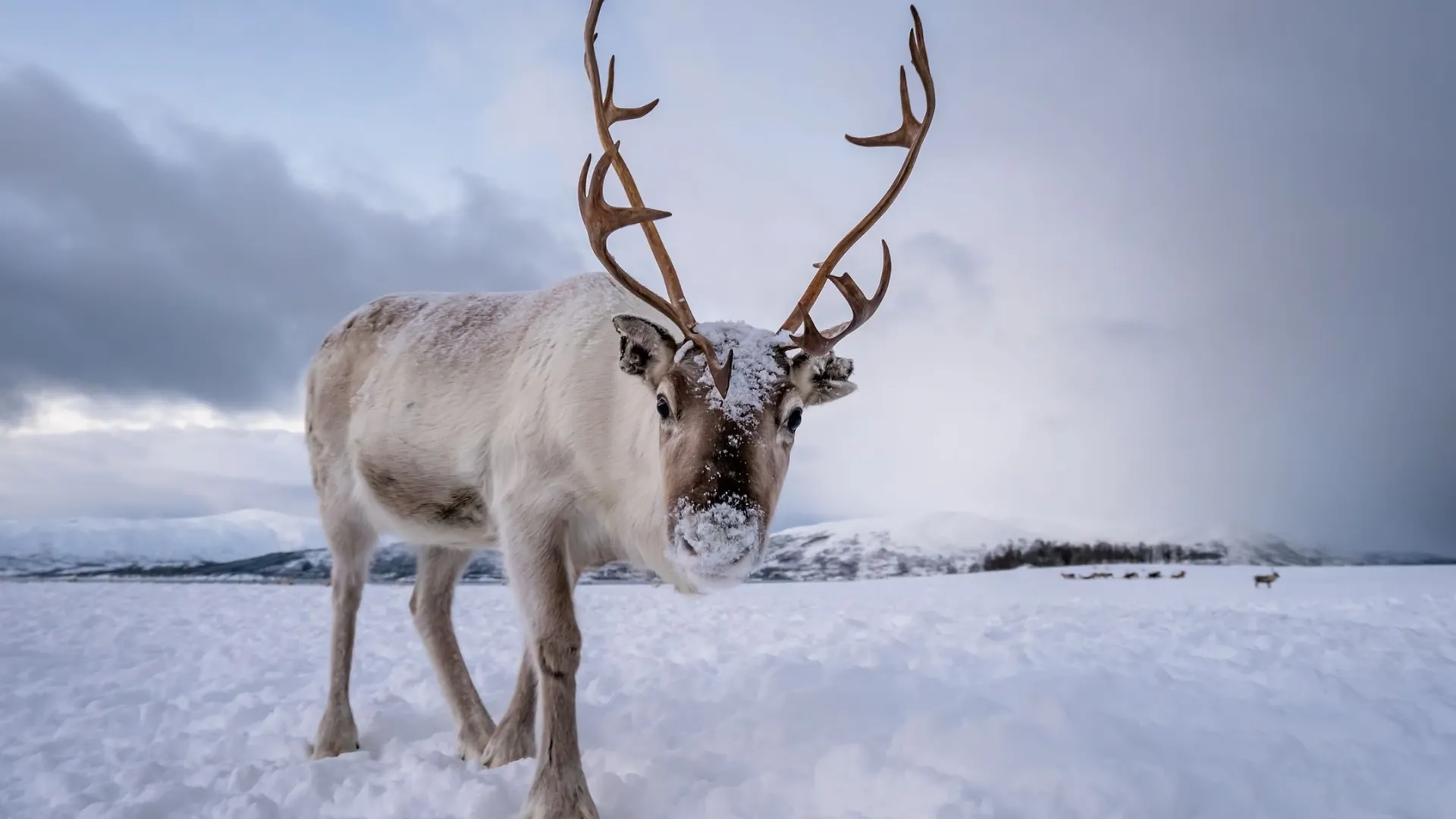 Фото: Pav-Pro Photography Ltd/Shutterstock/Fotodom