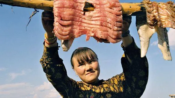 Хабэча Яунгад