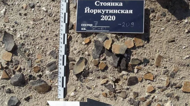 Фото предоставлено Научным центром изучения Арктики