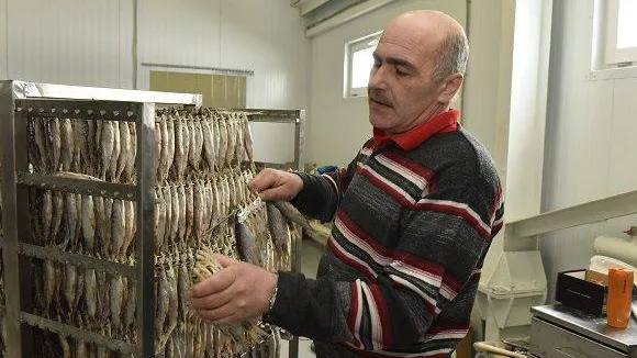 Андрей Ткачев