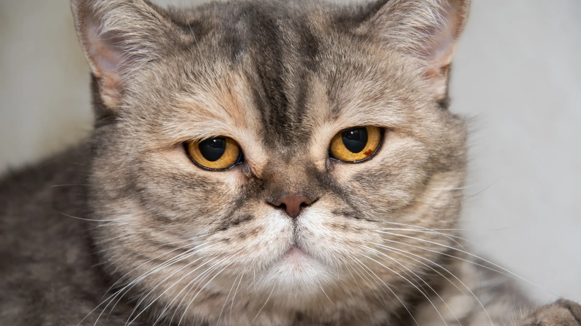 Фото: Юрий Здебский / «Ямал-Медиа»