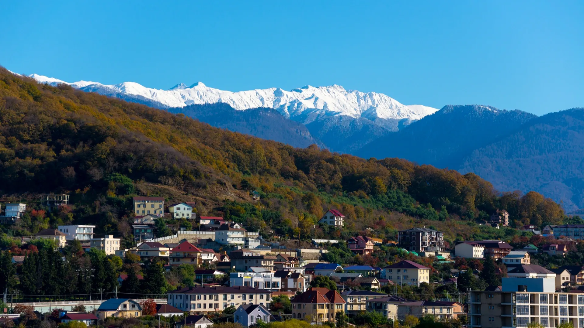 Цены на недвижимость в Сочи будут расти и дальше. Фото: Dmetsov Alexey / Shutterstock.com