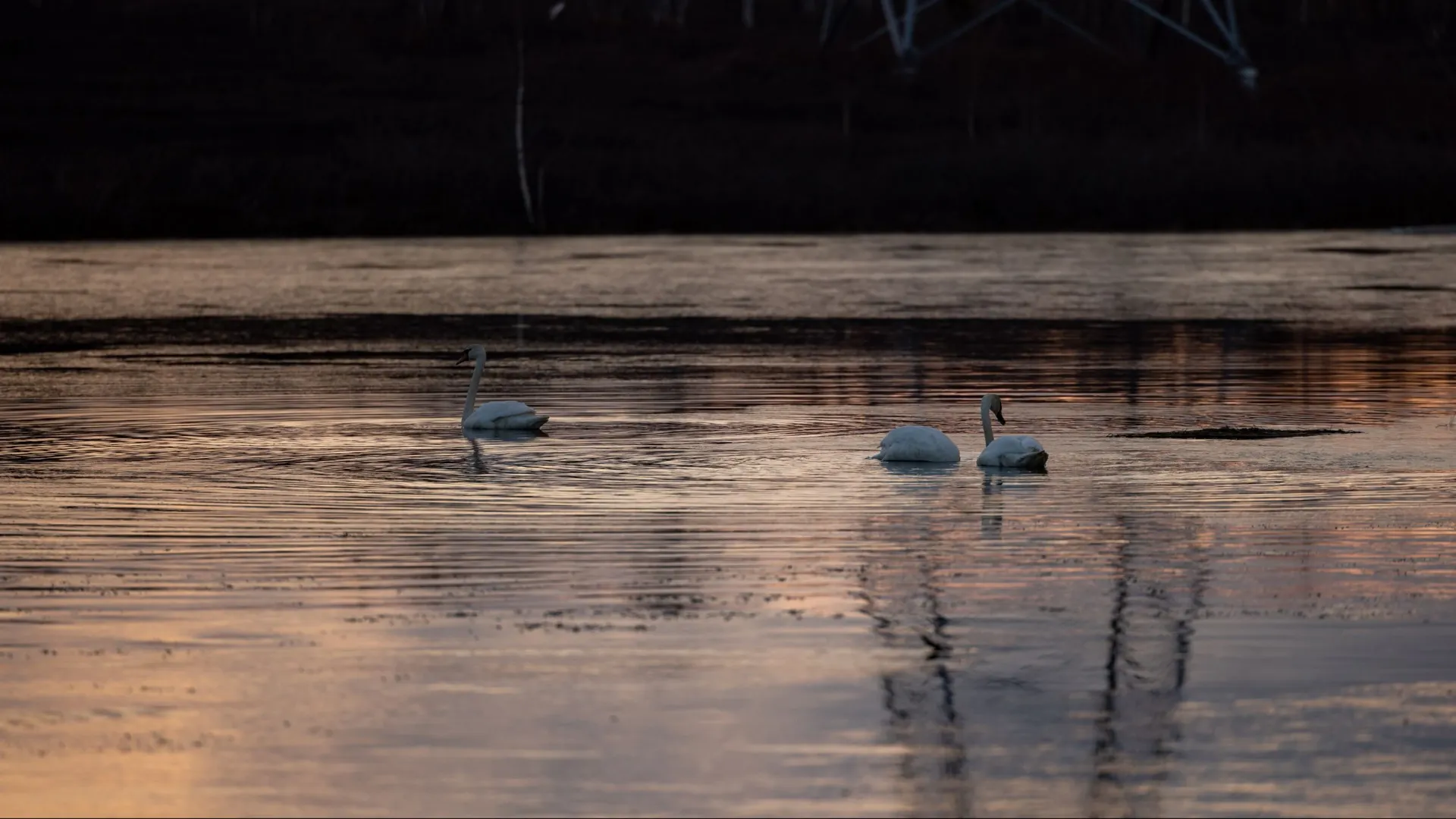 Северные озера прекрасны. Фото: Сергей Зубков / «Ямал-Медиа»