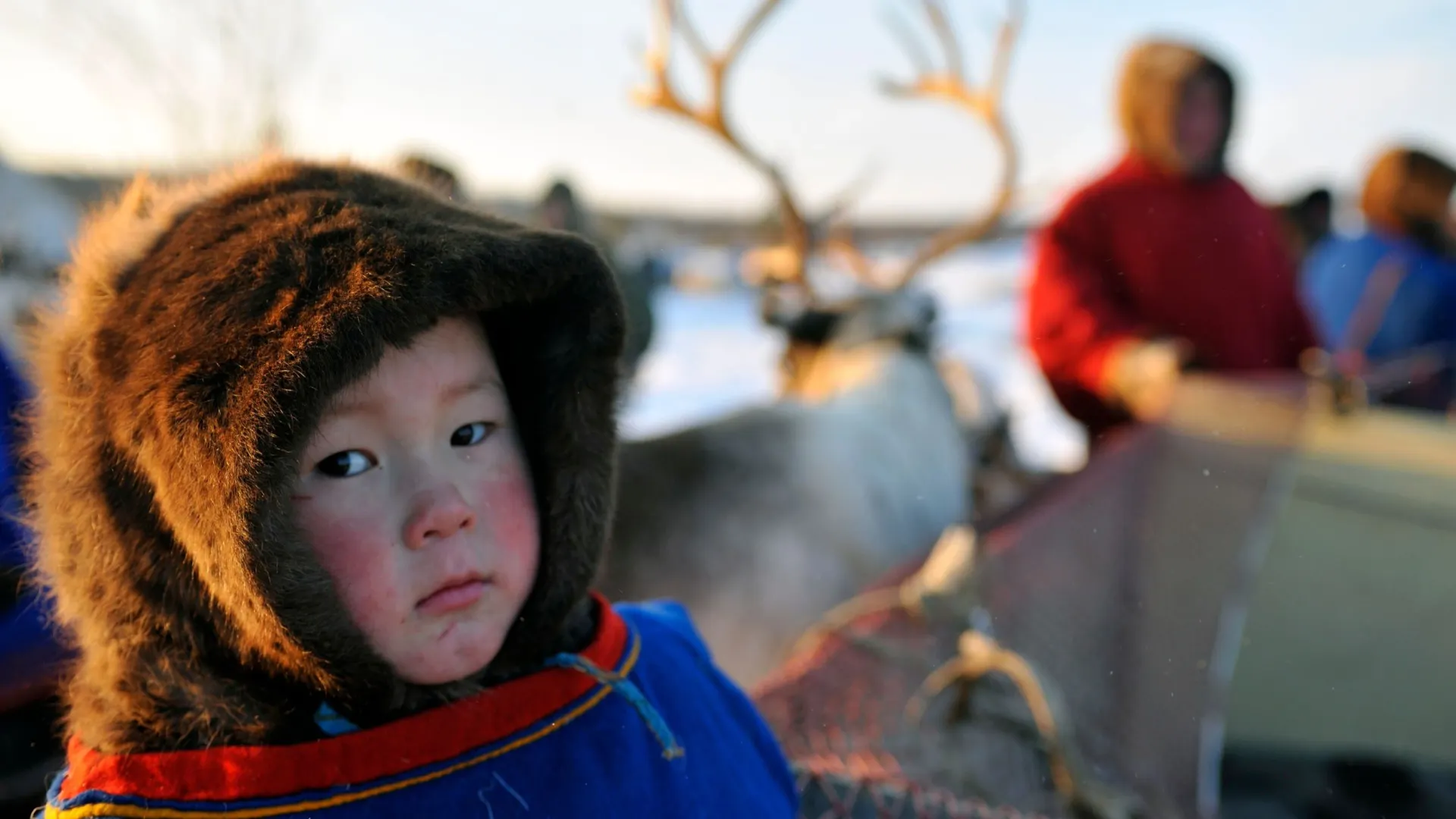 Фото: Sergey Rusanov / shutterstock.com / Fotodom