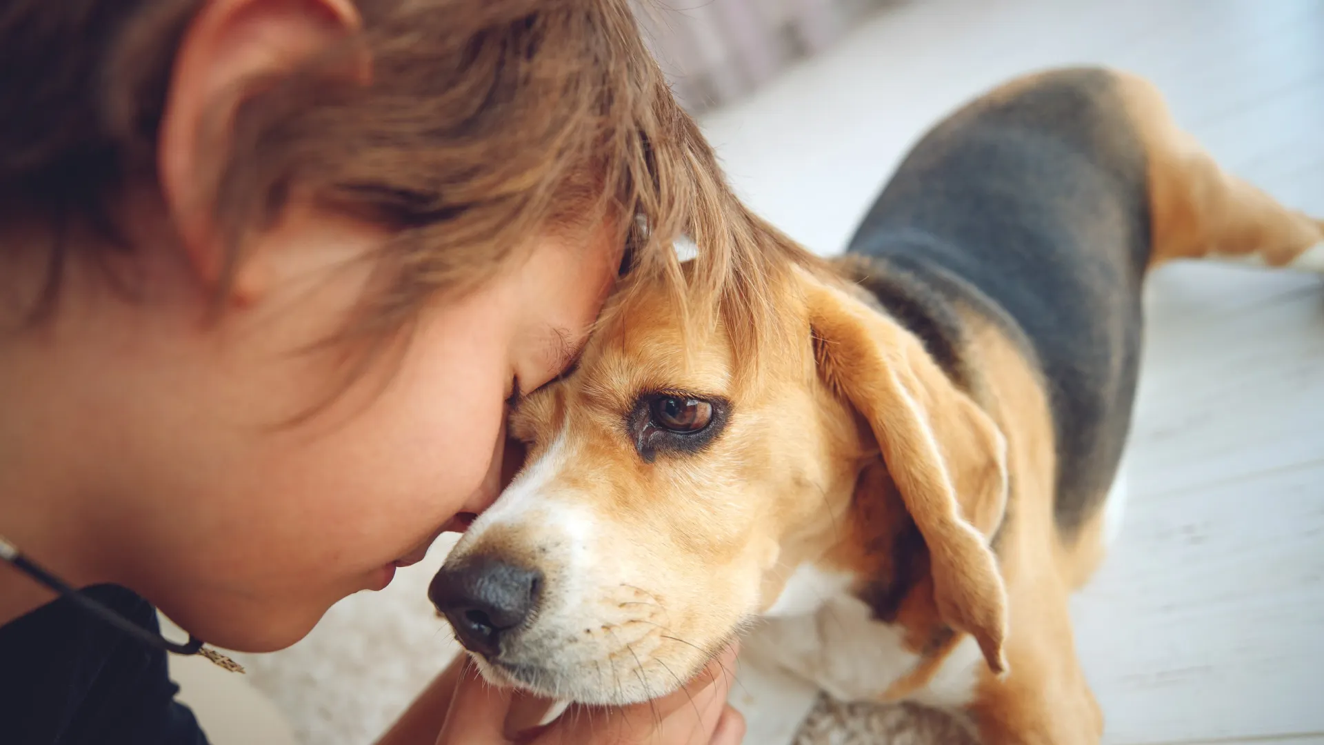 Фото: Nina Buday / Shutterstock / Fotodom