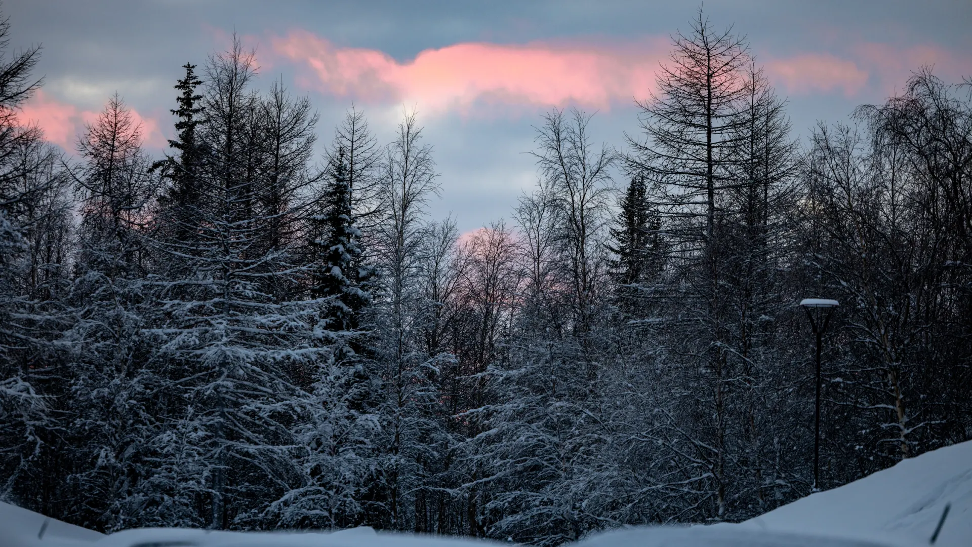 Фото: Сергей Зубков / «Ямал-Медиа»