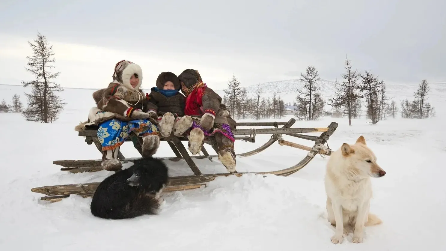 Фото: longtaildog / shutterstock.com / Fotodom