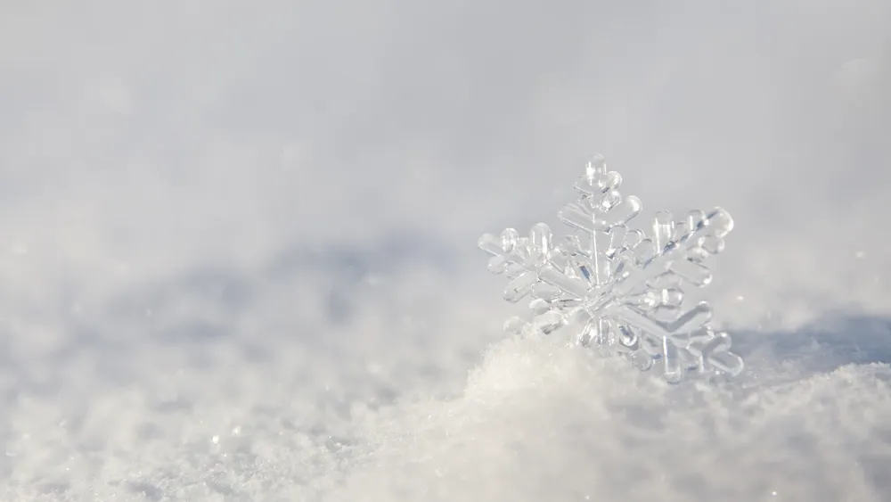 Фото: Tatiana Nurieva / Shutterstock.com