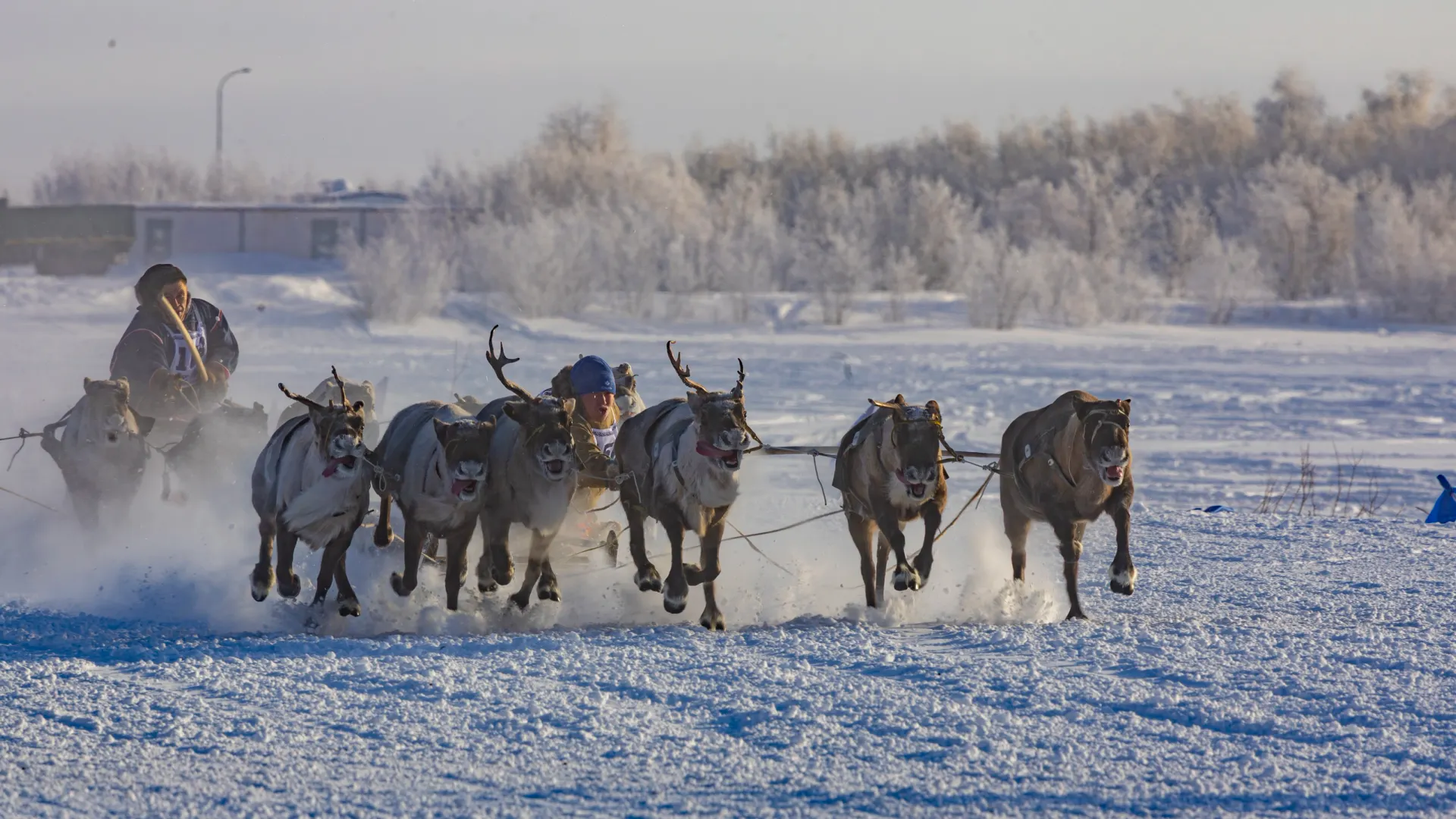 Фото: Никита Погодин / «Ямал-Медиа»