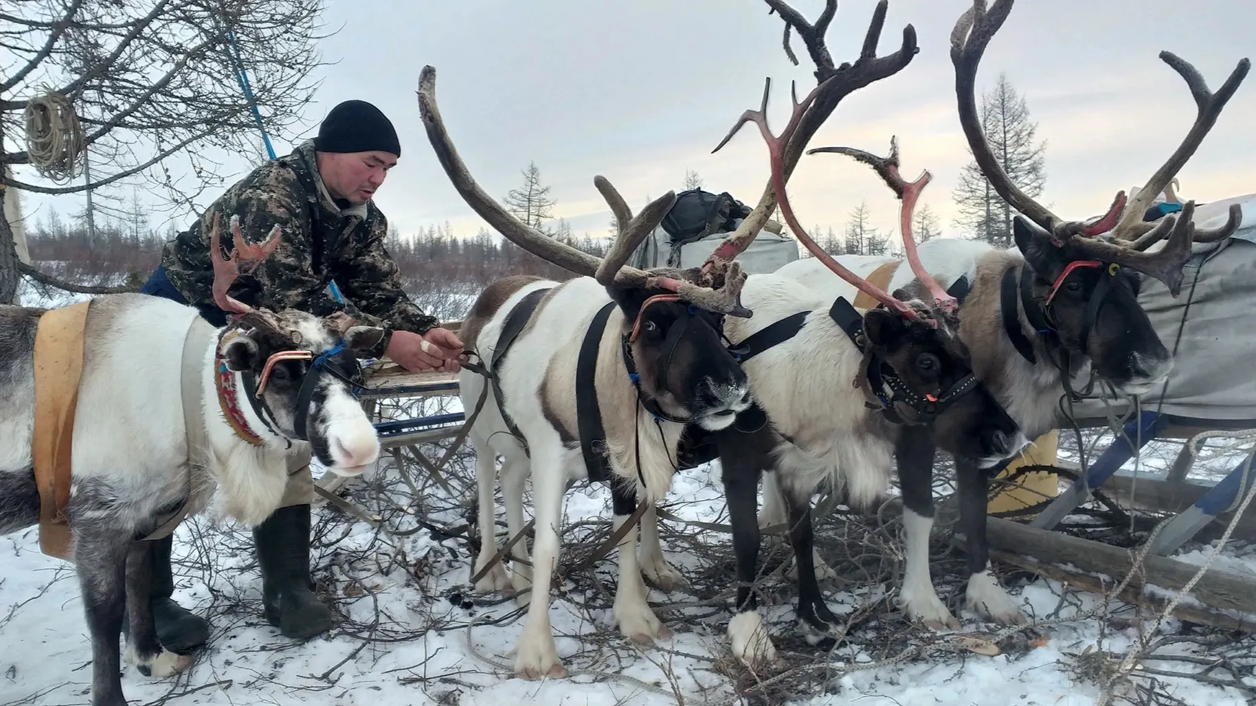 Пуӆэӊ ёх тащӆаӆ воштаты кирсащӆат. Хор: Виталий Озелов