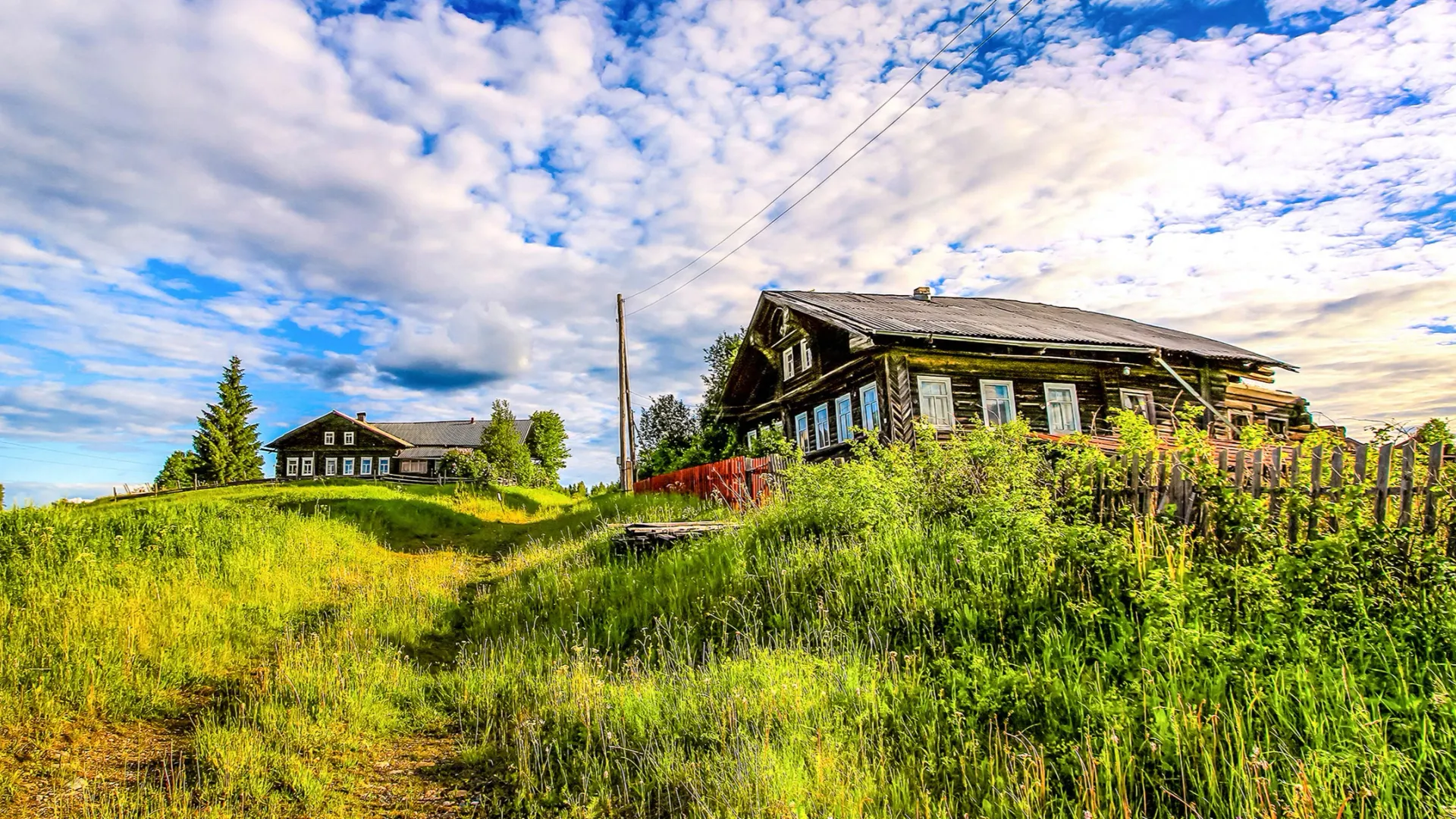 Фото: Nikolay Zaborskikh / Shutterstock / Fotodom