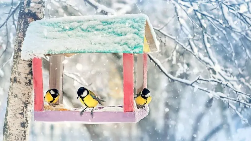 Фото: ju_see/Shutterstock/Fotodom