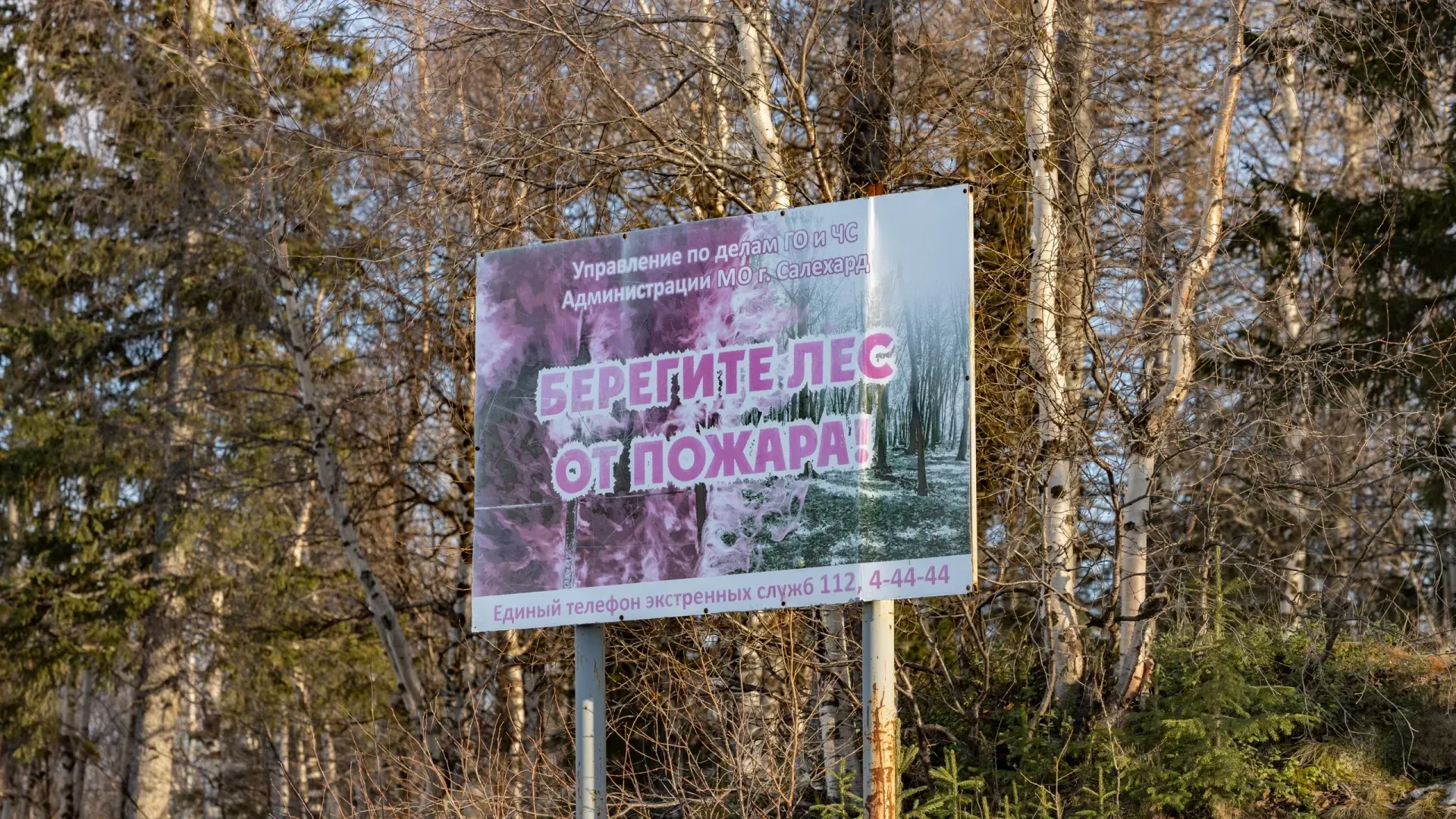 Фото: Дания Соболева / «Ямал-Медиа»
