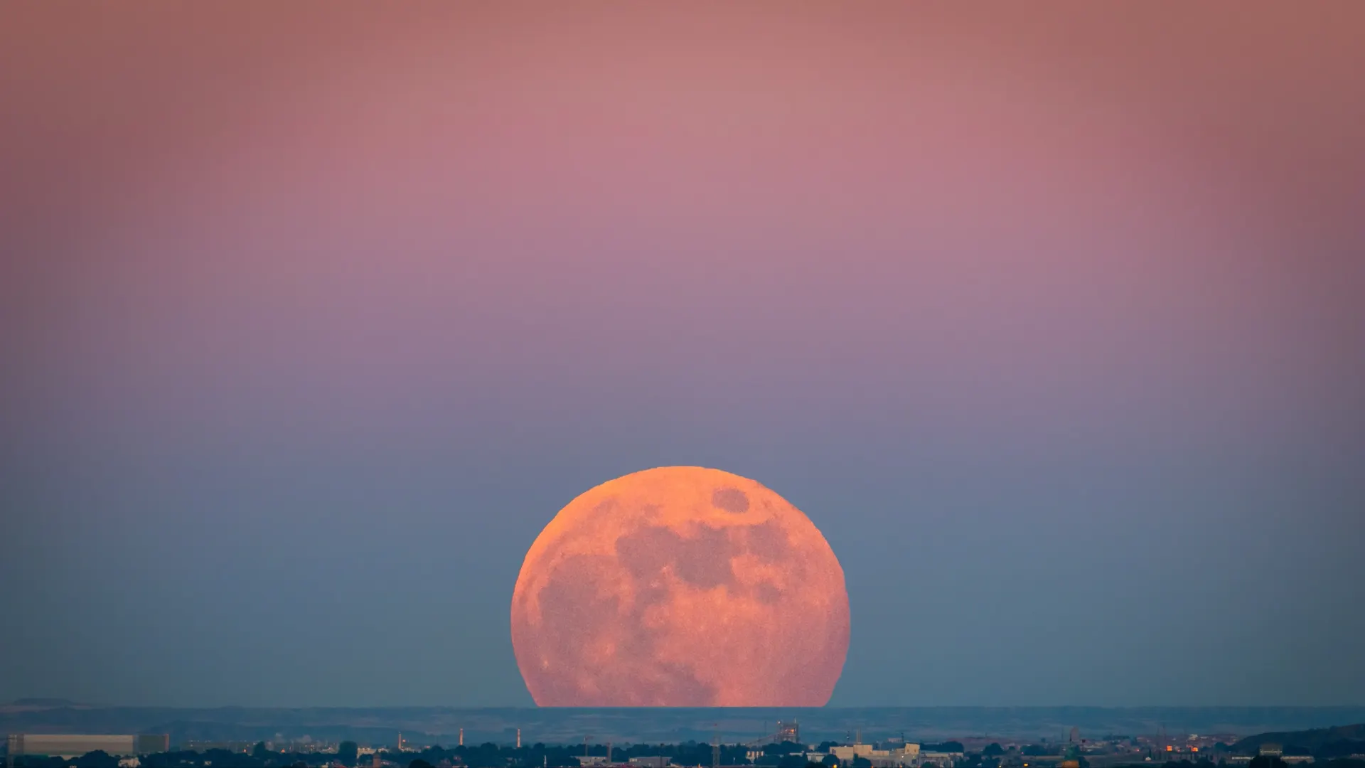 Фото: Ivan Morato photography / Shutterstock / Fotodom