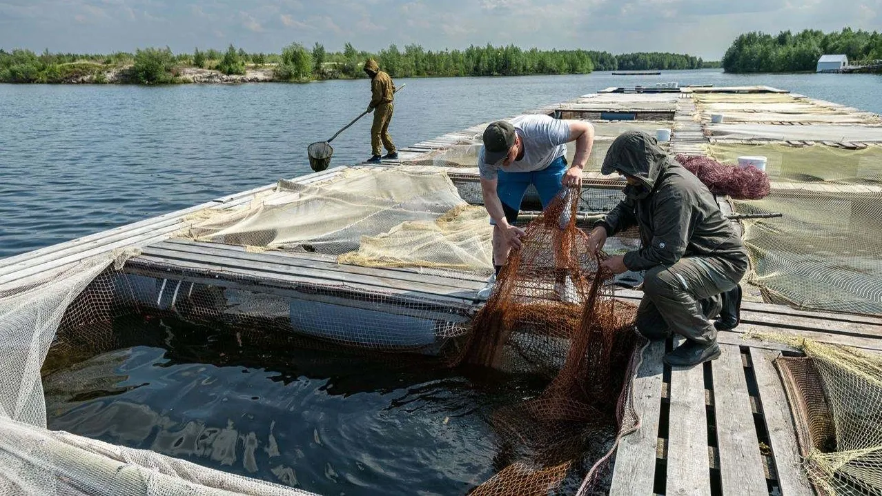 Фото: предоставлено Данилом Хусаиновым