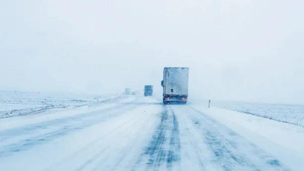 Автоинспекторы района патрулируют на загородных трассах каждый день. Фото: Bits And Splits / shutterstock.com / Fotodom