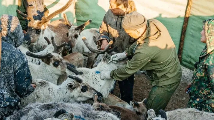 Фото: Юлия Чудинова / «Ямал-Медиа»