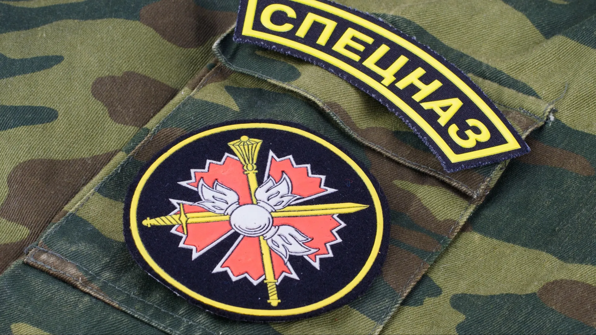 Фото:  Militarist / Shutterstock / ФОТОДОМ