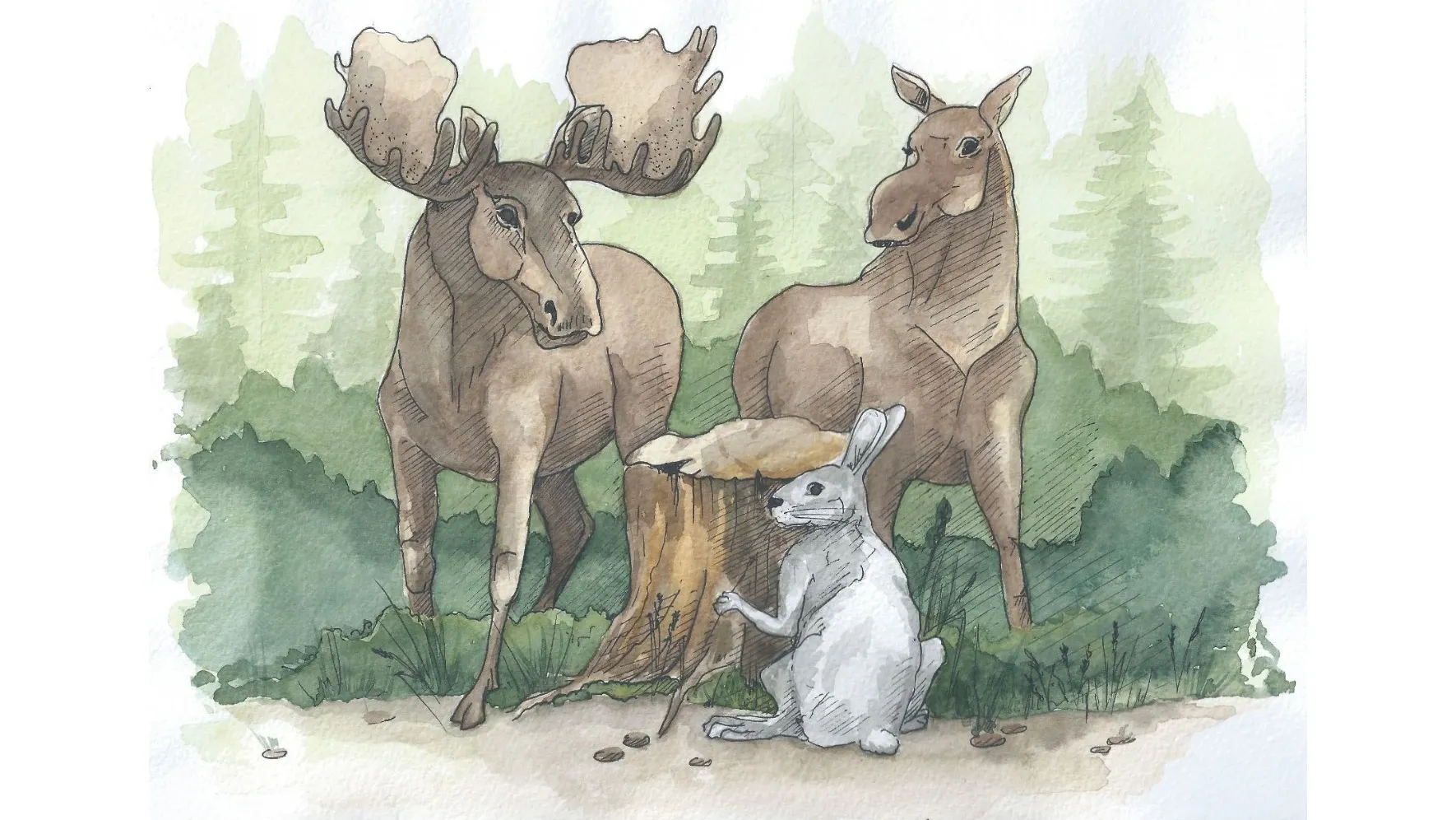 Иллюстрация: Наталья Колбина / «Ямал-Медиа»