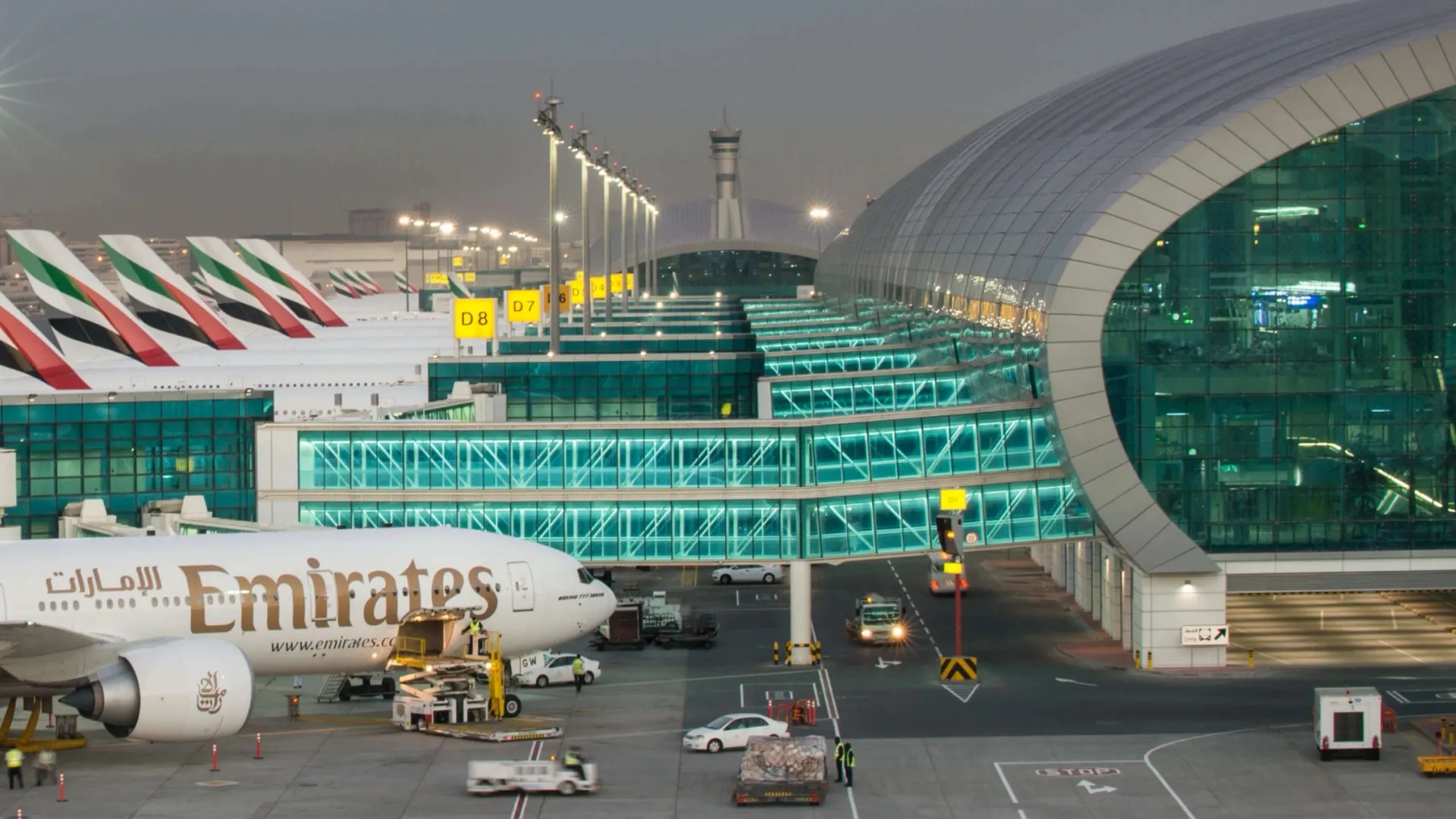 Фото: Daniela Collins / Shutterstock / Fotodom