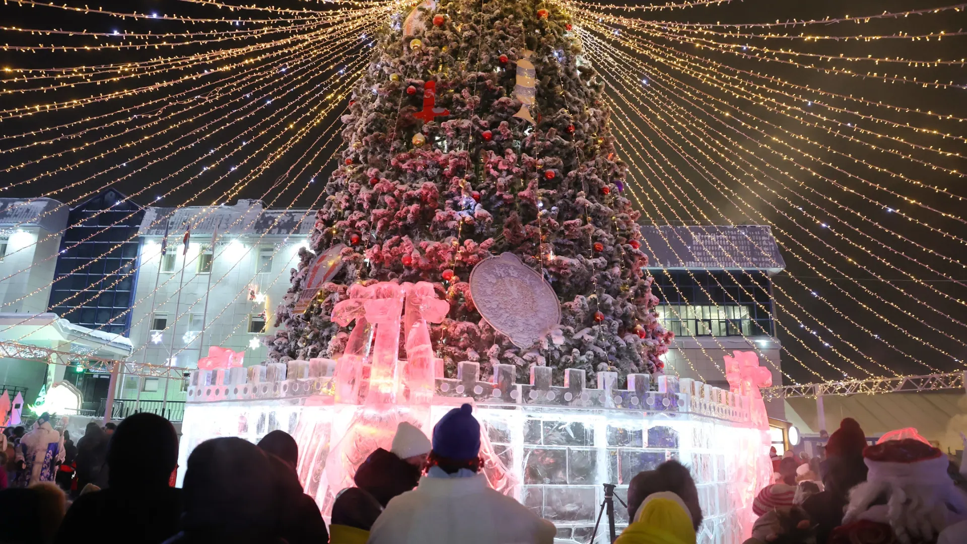 Фото: Андрей Ткачев / "Ямал-Медиа"