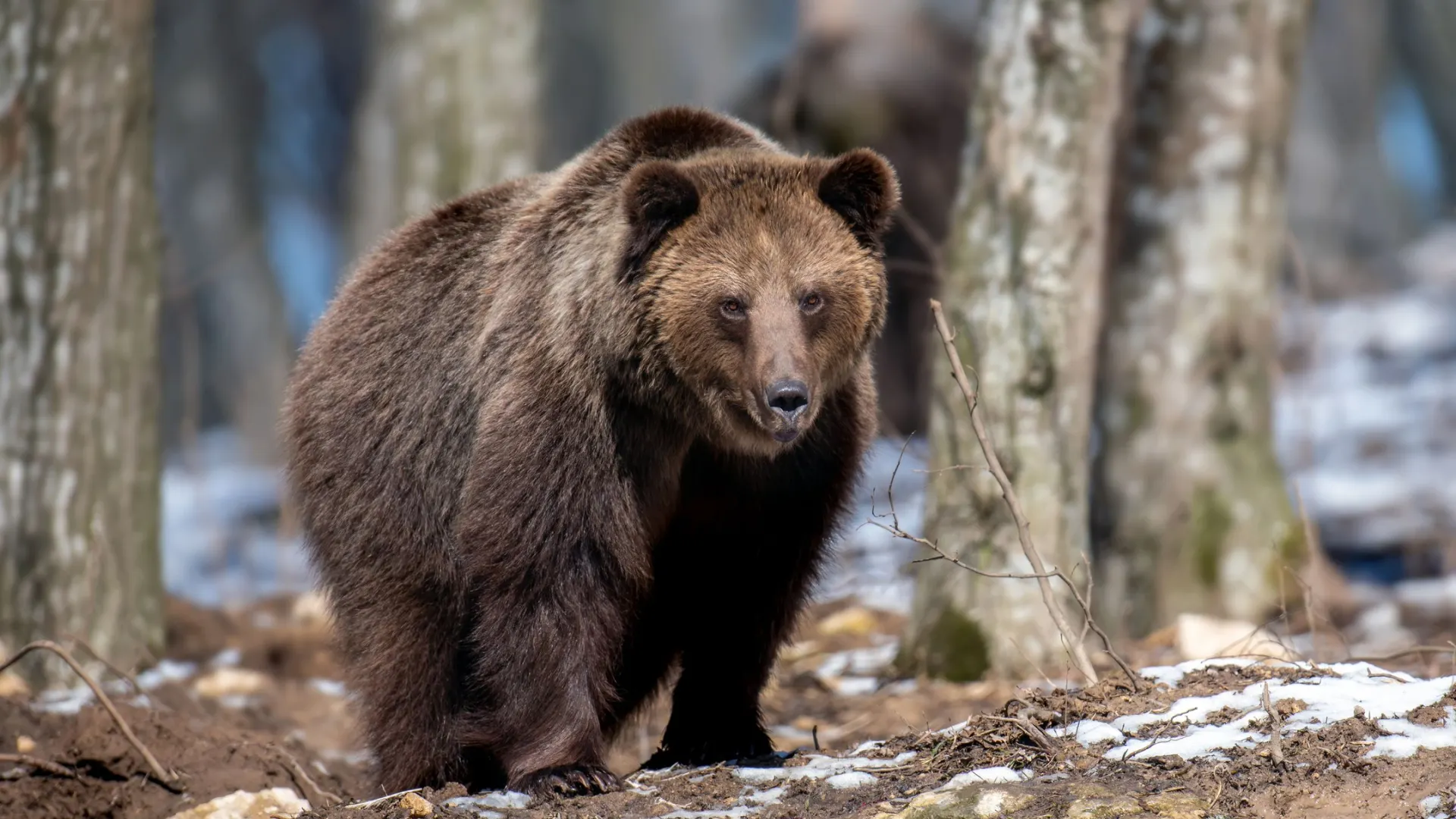 Фото: Volodymyr Burdiak /Shutterstock/Fotodom