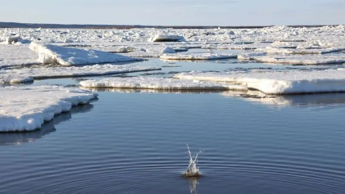 Фото: Андрей Ткачёв / «Ямал-Медиа»