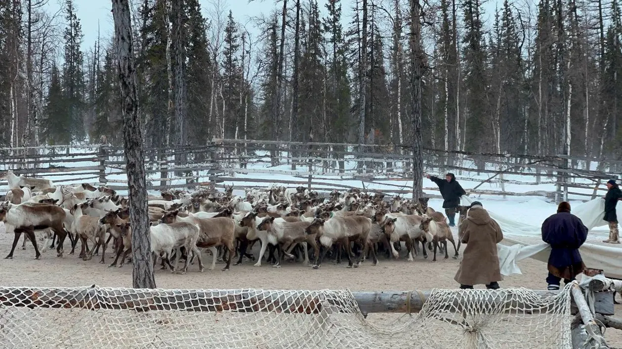 Фото: Марина Яр / Няръяна  Ӈэрм