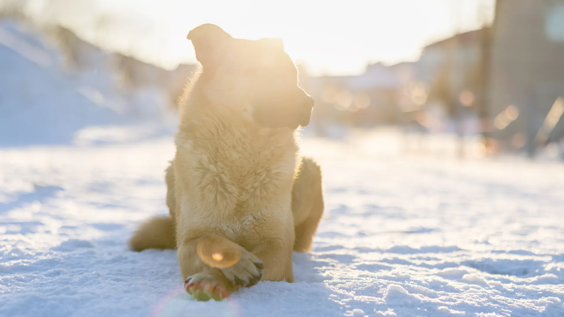 Фото: Фёдор Воронов / «Ямал-Медиа»
