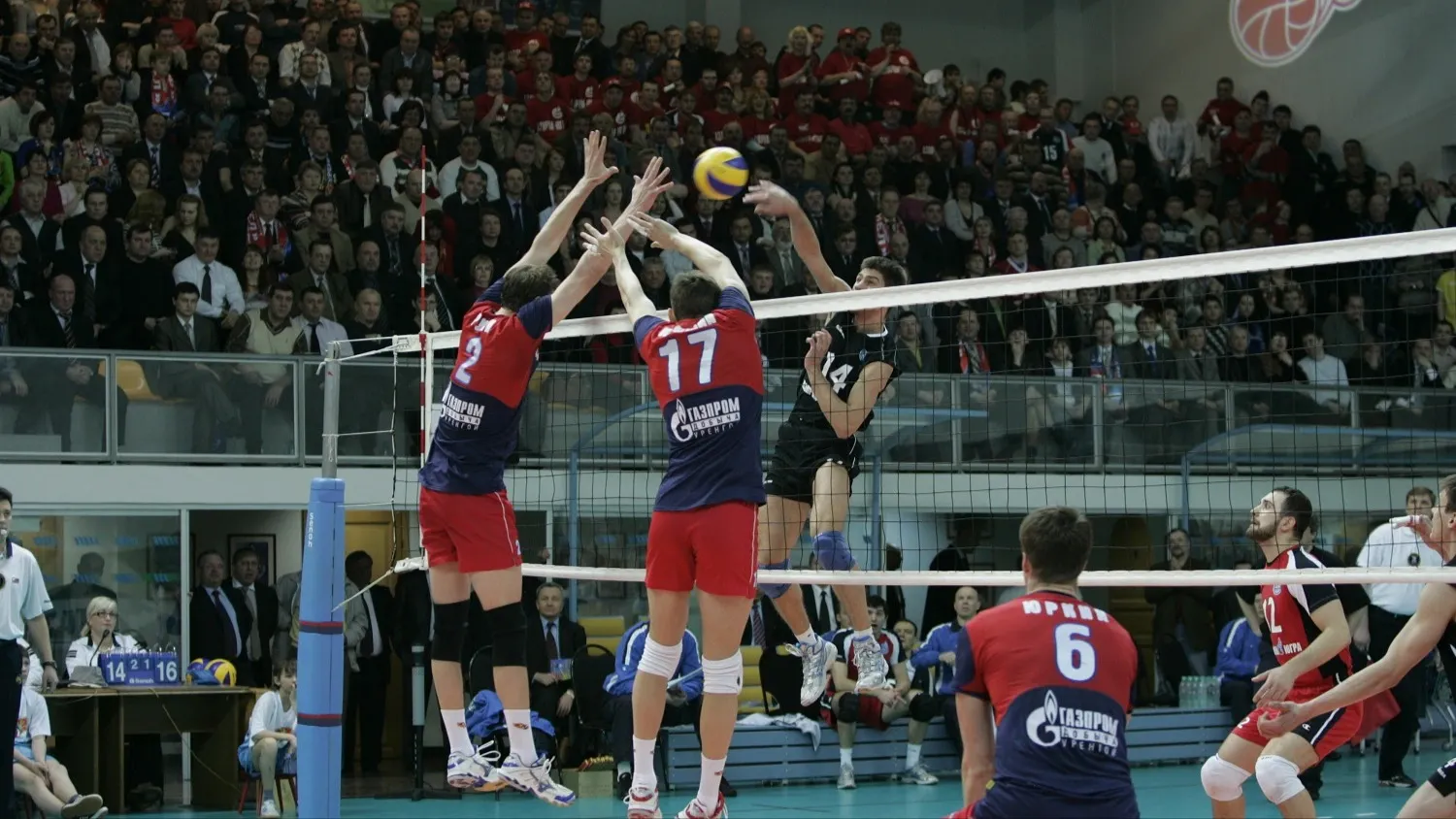 Фото: предоставлено из архива волейбольного клуба «Факел Ямал»