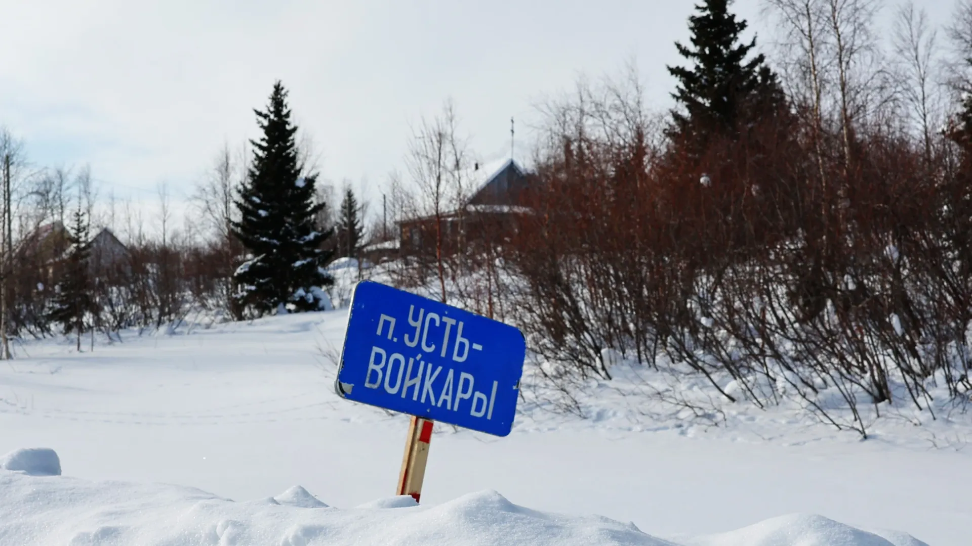 А в деревне-то как хорошо!