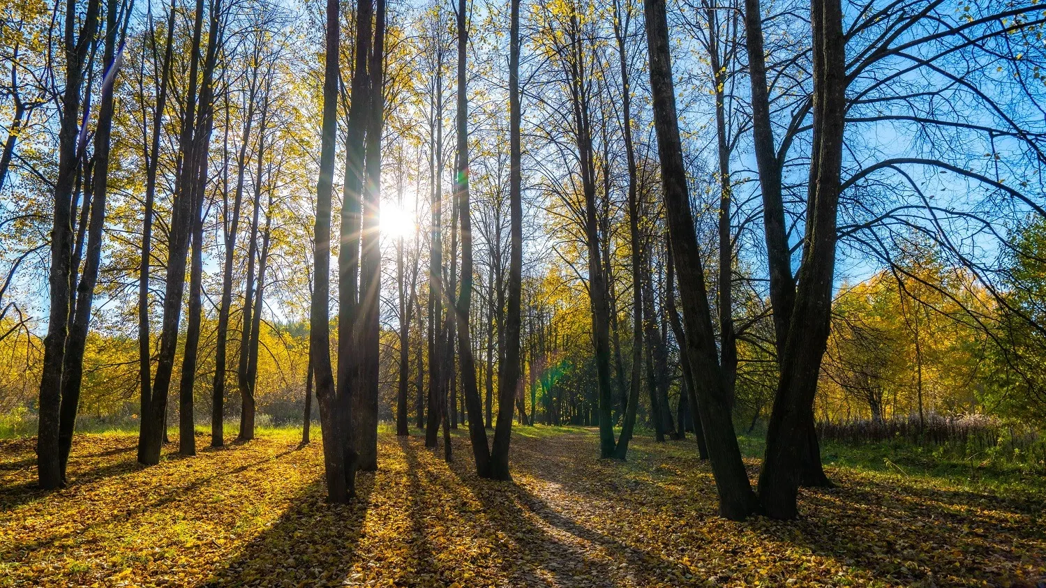 Фото: предоставлено из личного архива Ильи Меркулова
