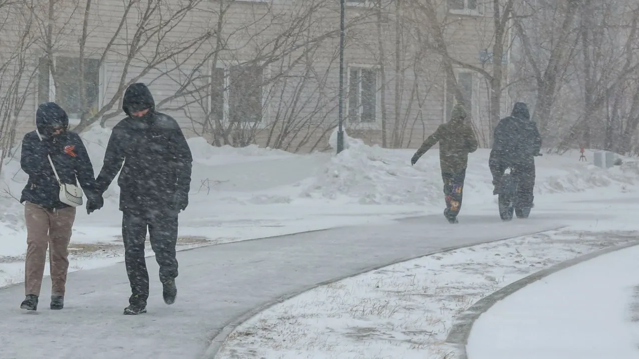 Фото: Андрей Ткачев/«Ямал-Медиа»
