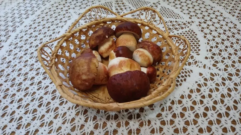 Фото Алены Ивановой из Губкинского