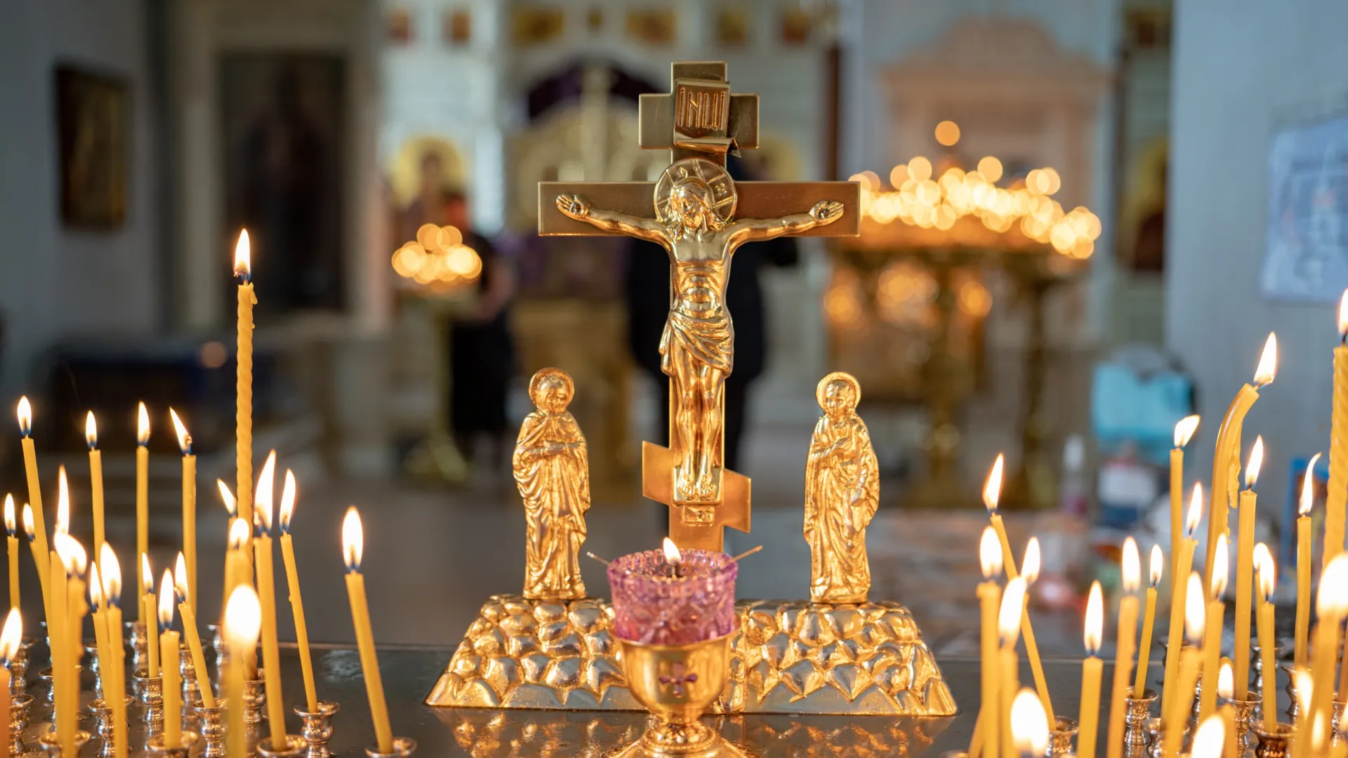 Фото: Сергей Зубков / АНО «Ямал-Медиа»